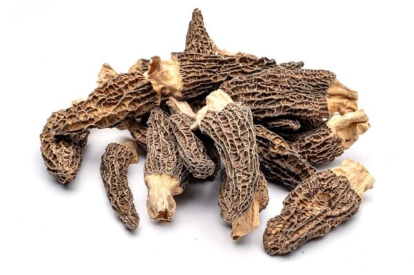 Dried Morel Mushroom